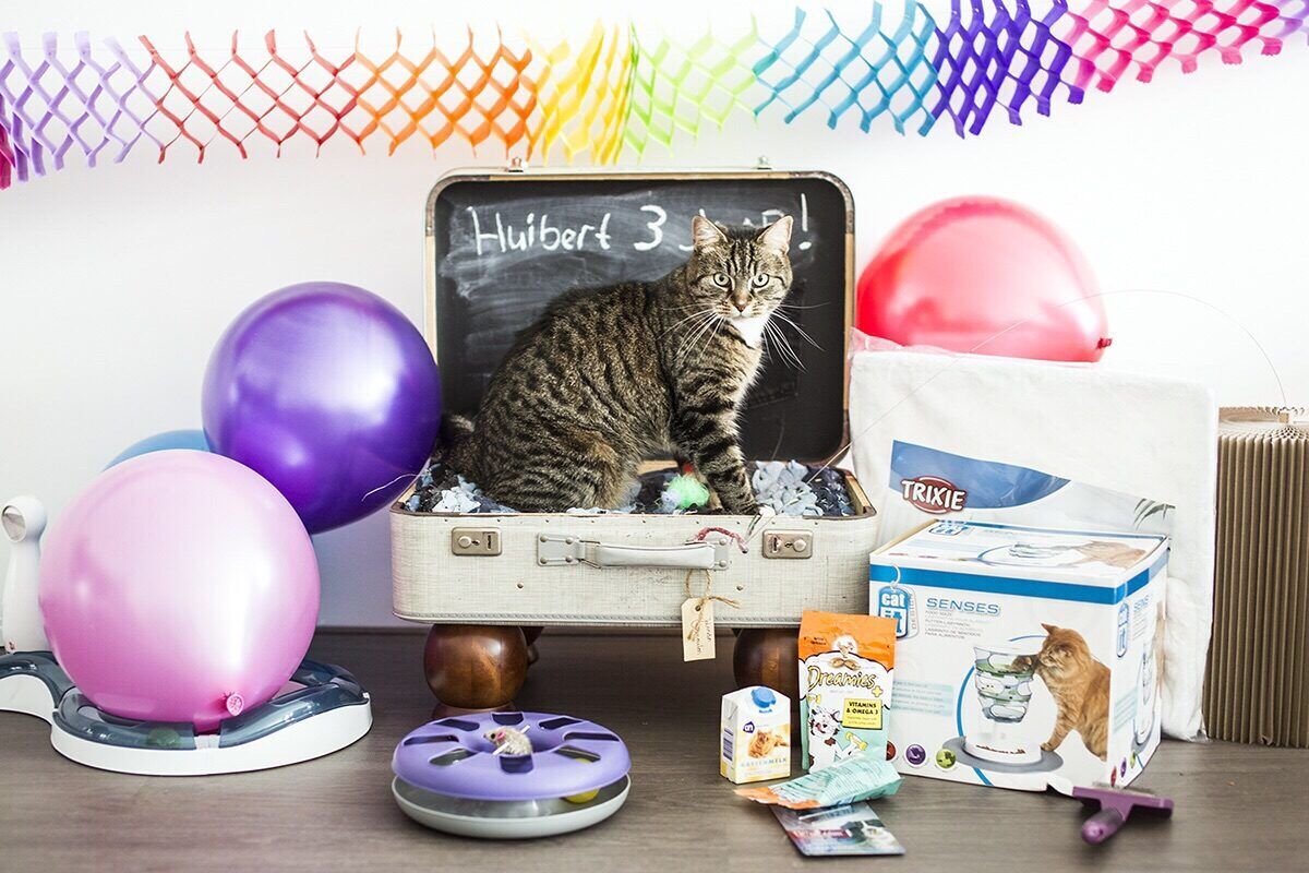 Huibert, 3 jaar